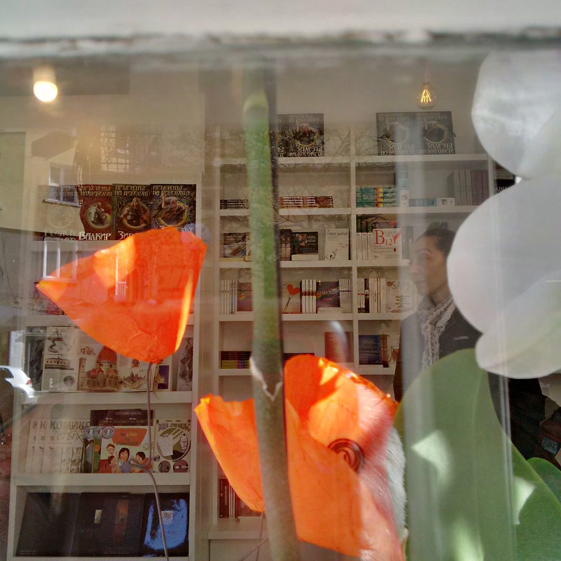 Комфортно лято с книжарница КИБЕА: 10% отстъпка през юни, юли и август