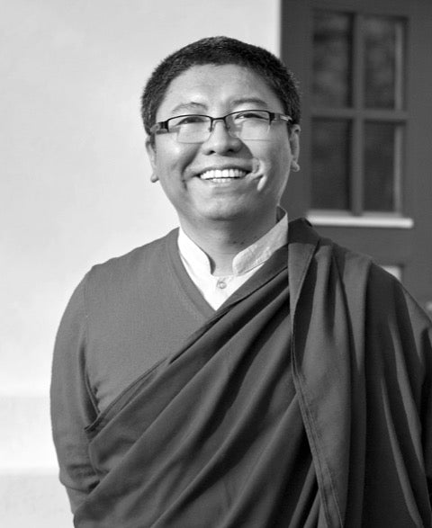 Цокни Ринпоче