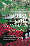 Пилешка супа за душата. Трета порция