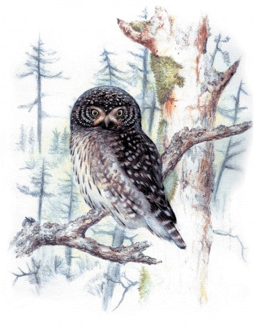 ЖИВАТА ПРИРОДА