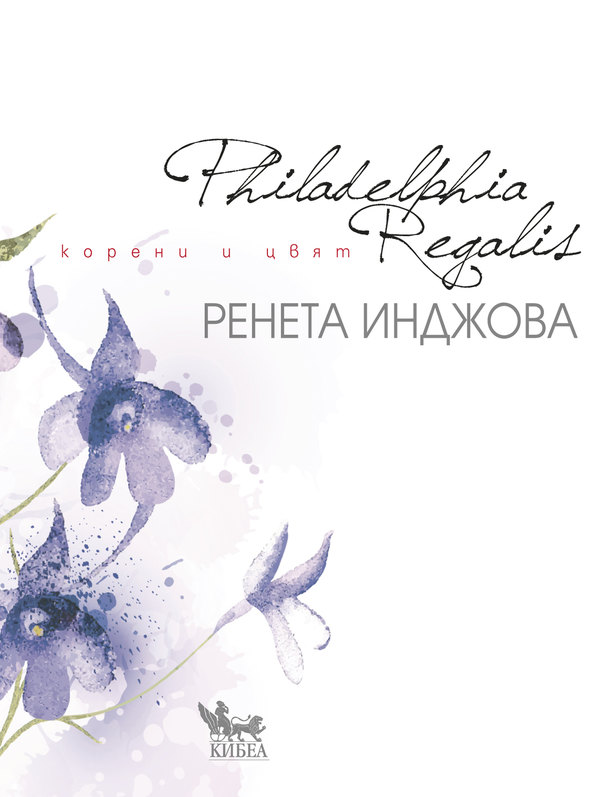 Philadelphia Regalis. Корени и цвят