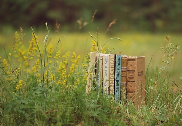Базар на книгата под небето на НДК. КИБЕА – шатра 2